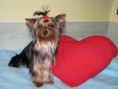 /album/fotogaleria/img-2373-jpg/