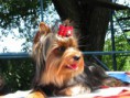 /album/fotogaleria/a37256-1468309461589-1049153120-1385331-6846708-n-jpg3/